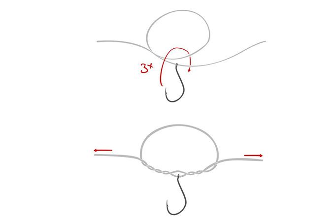Dropshot-Knoten binden: Einfache Anleitung für die Befestigung des Hakens am Fluorocarbon