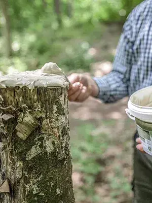 WILDBEWIRTSCHAFTUNG